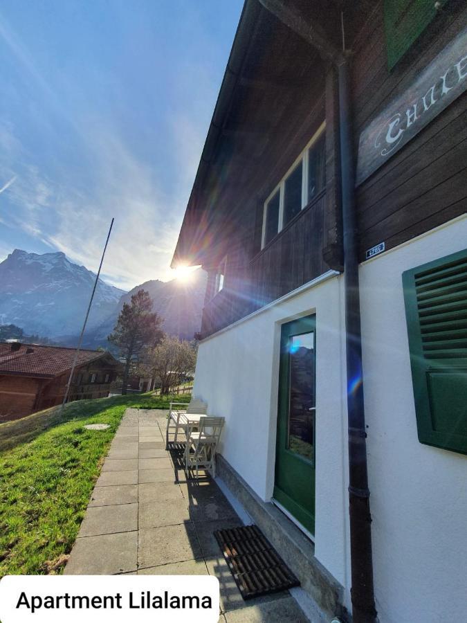 Apartment Lilalama Grindelwald Ngoại thất bức ảnh